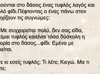 Συναντιούνται στο δάσος ένας τυφλός λαγός και ένα τυφλό φίδι.