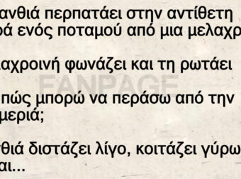 Μια ξανθιά περπατάει στην αντίθετη πλευρά ενός ποταμού από μια μελαχρoινή