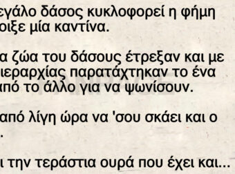 Στο μεγάλο δάσος κυκλοφορεί η φήμη ότι άνοιξε μία καντίνα