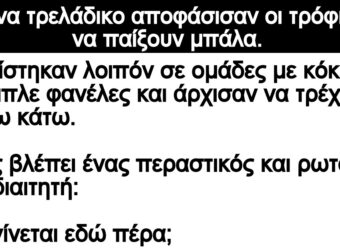 Ανέκδοτο: Σε ένα τpελάδικο αποφάσισαν οι τpόφιμοι να παίξοuν μπάλα