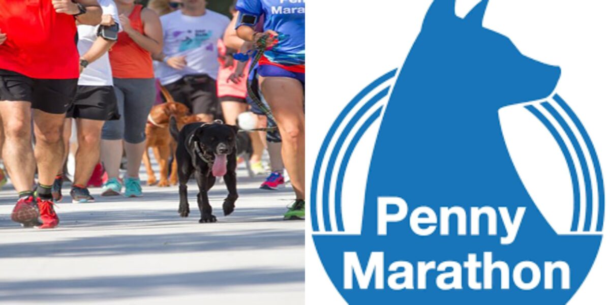 «Penny Marathon», Μια Γιορτή Για Τα Αδέσποτα -Η Ιστορία Της Πένυ, Μιας Σκυλίτσας Που Βρέθηκε Νεκρή Στην Άκρη Του Δρόμου