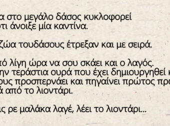 Ανέκδοτο: Μια μέρα στο μεγάλο δάσος κυκλοφορεί η φήμη ότι άνοιξε μία καντίνα.
